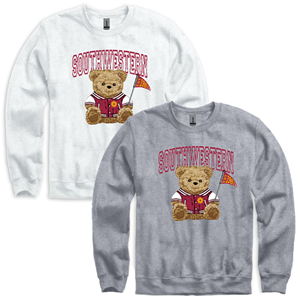 Sweatshirt Southwestern Teddy Bear Crew